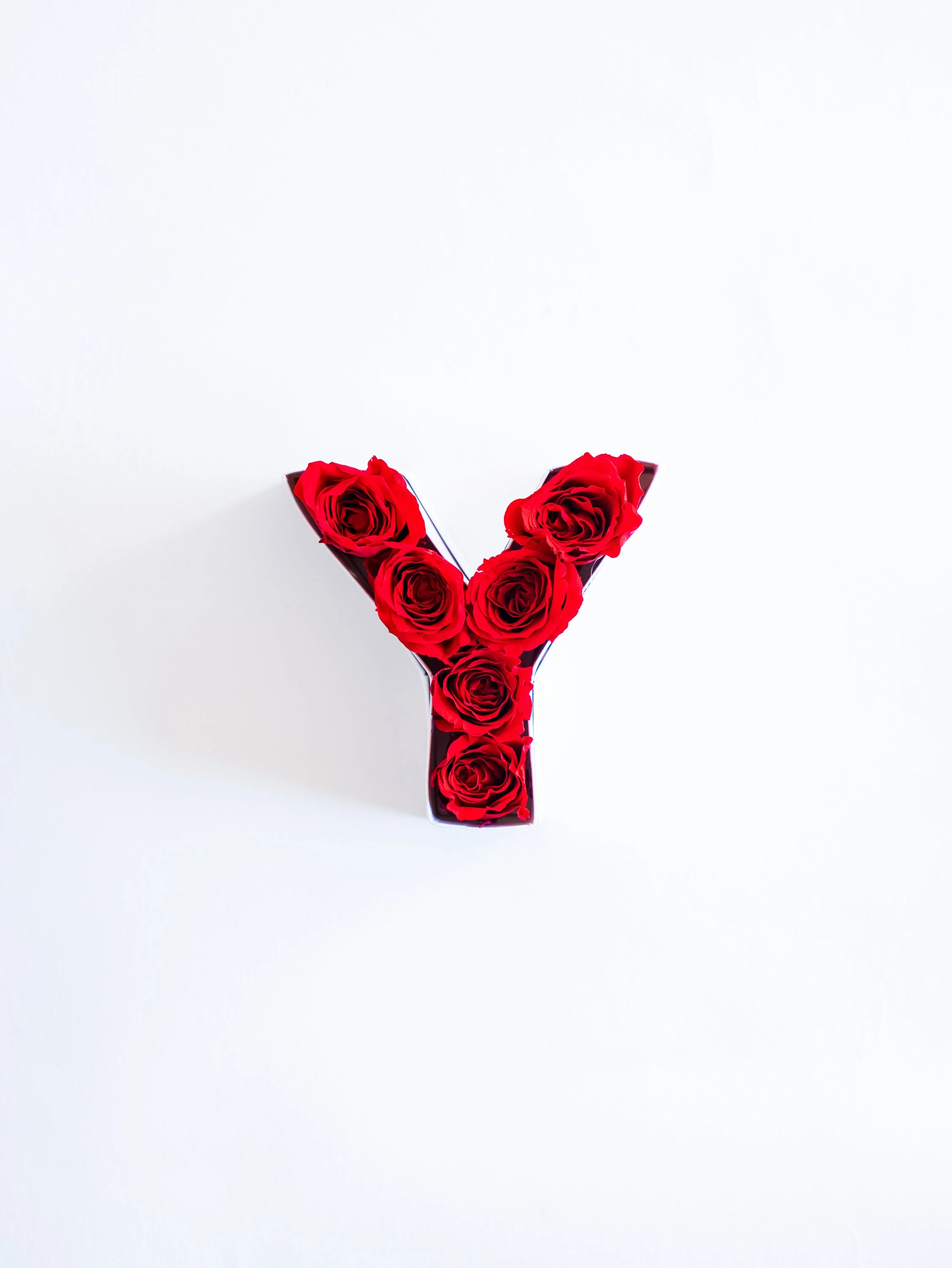 Product image 66