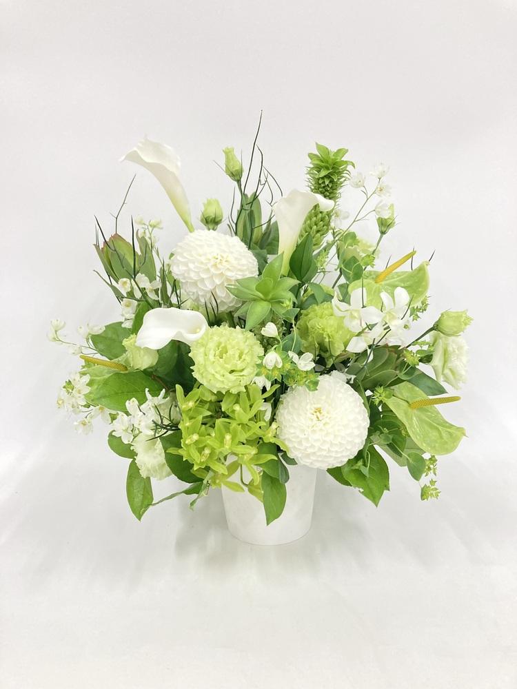 Product image 36