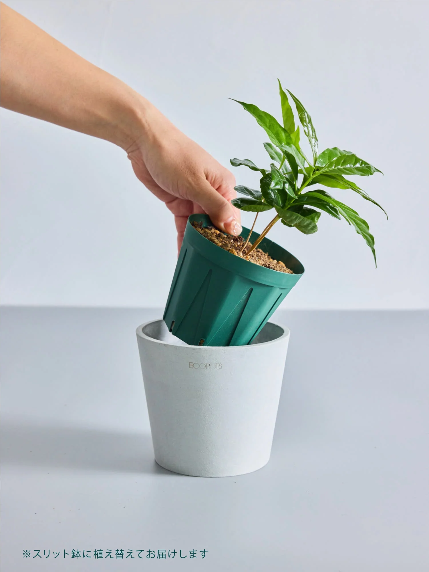 Product image 28
