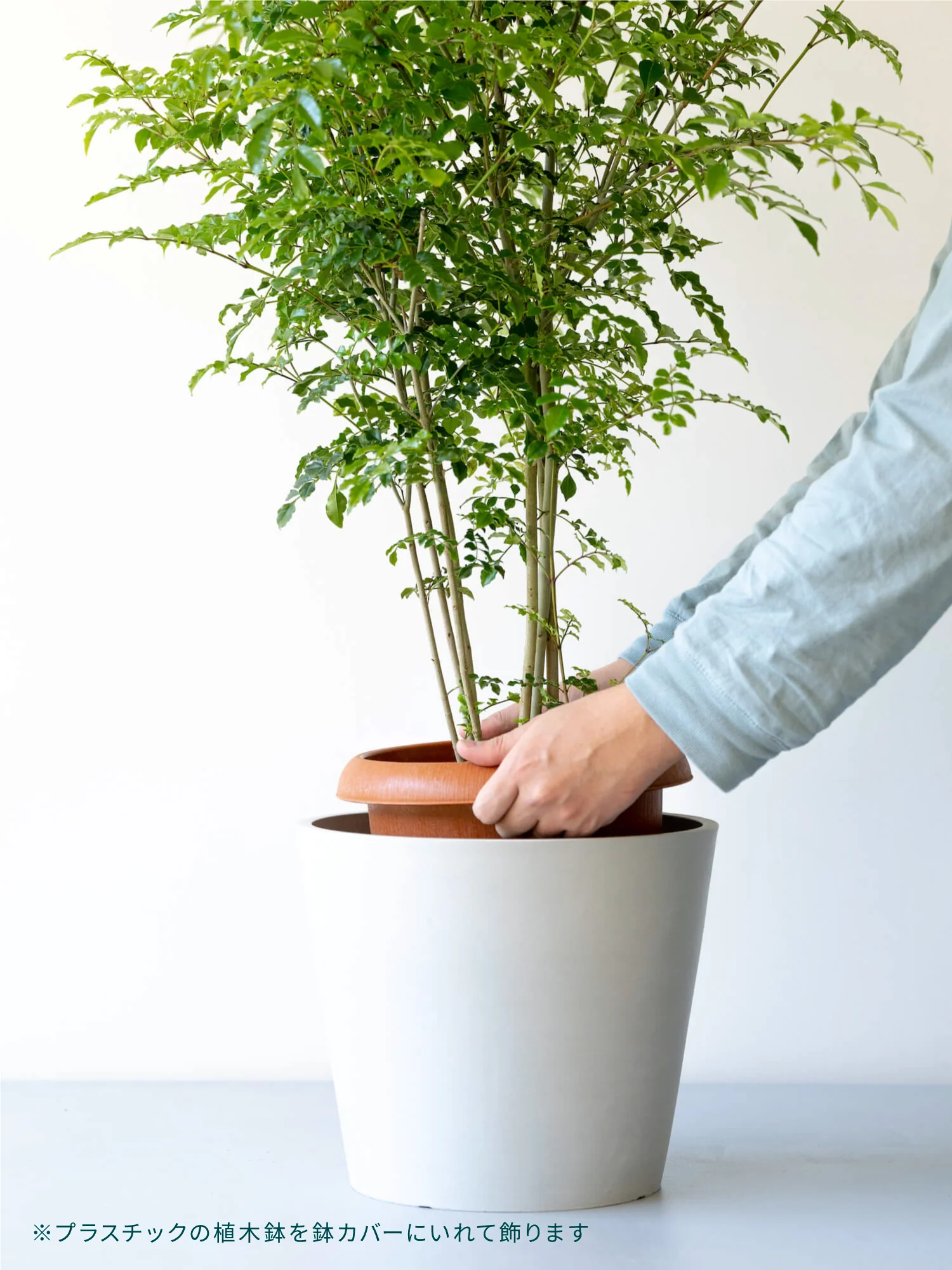 Product image 23